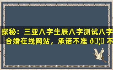 探秘：三亚八字生辰八字测试八字合婚在线网站，承诺不准 🦍 不要钱，是噱头还是真有实力